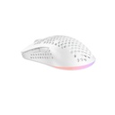 avax-lw01-paw3327-rgb-gamer-eger-feher_2.jpg