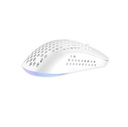 avax-lw01-paw3327-rgb-gamer-eger-feher_4.jpg