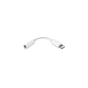 Apple Lightning - 3,5 mm Jack átalakító (Fehér)